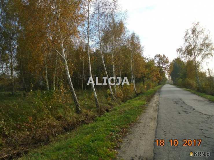 Działki  na sprzedaż, , Holendry Baranowskie, ul. 