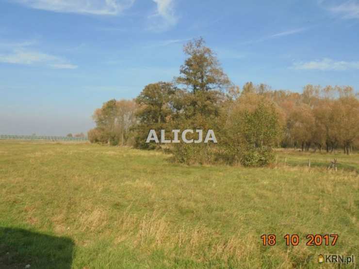 , Holendry Baranowskie, ul. , Działki  na sprzedaż