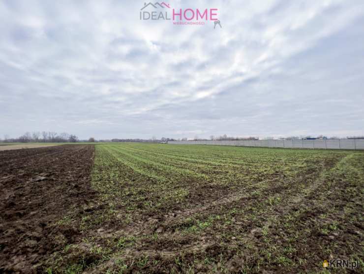 Jasionka, ul. , Działki  na sprzedaż, 