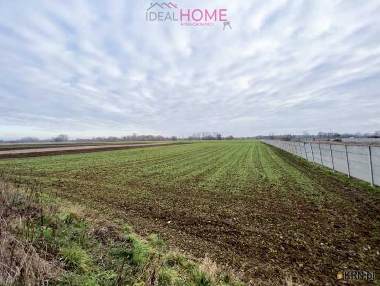 Jasionka, ul. , , Działki  na sprzedaż