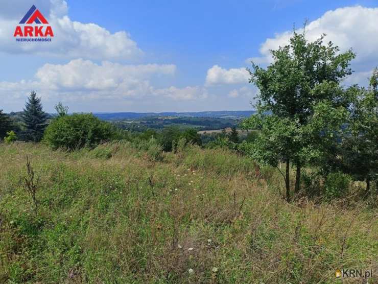 Działki  na sprzedaż, Łapanów, ul. , 