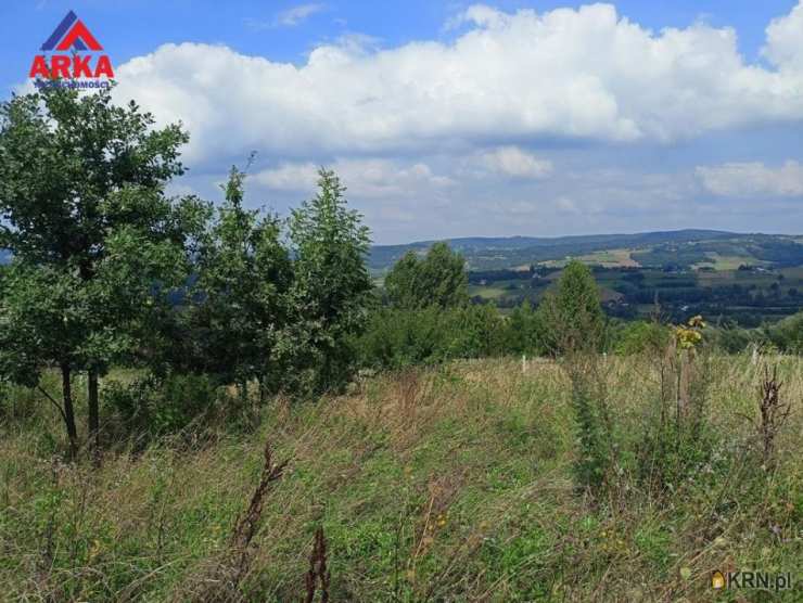 Działki  na sprzedaż, , Łapanów, ul. 