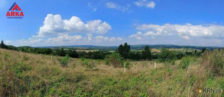 Działki  na sprzedaż, Łapanów, ul. , 