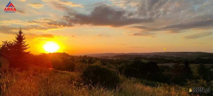 Działki  na sprzedaż, , Łapanów, ul. 