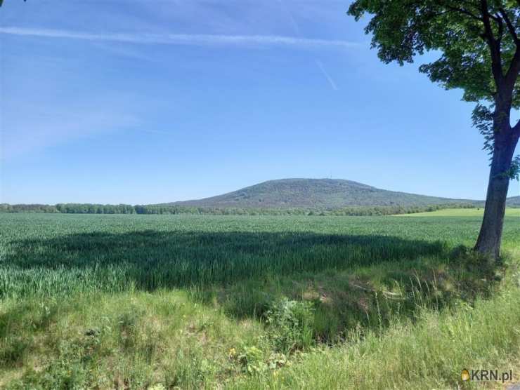 Działki  na sprzedaż, Marcinowice, ul. , 