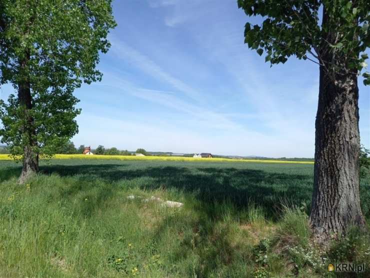 Działki  na sprzedaż, , Marcinowice, ul. 