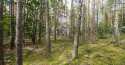 Działki na sprzedaż, Sękocin Las
