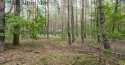 Działki na sprzedaż, Sękocin Las