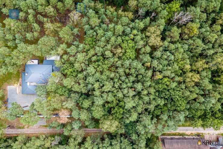 , Działki  na sprzedaż, Sękocin Las, ul. 