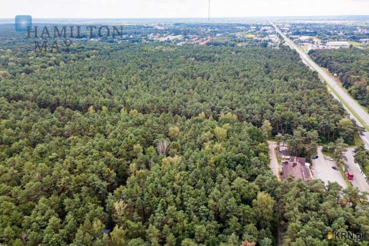 Działki  na sprzedaż, , Sękocin Las, ul. 