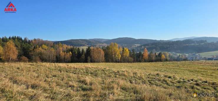 Działki  na sprzedaż, Wilczyce, ul. , 