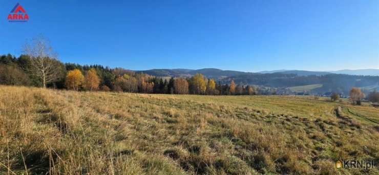 Działki  na sprzedaż, , Wilczyce, ul. 