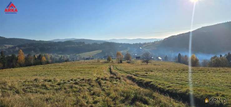 Wilczyce, ul. , Działki  na sprzedaż, 