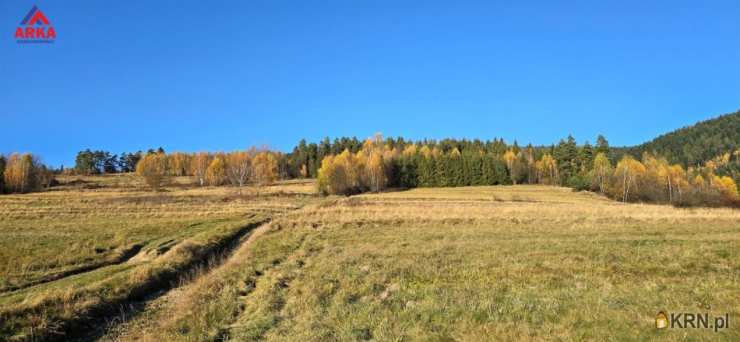 Wilczyce, ul. , , Działki  na sprzedaż