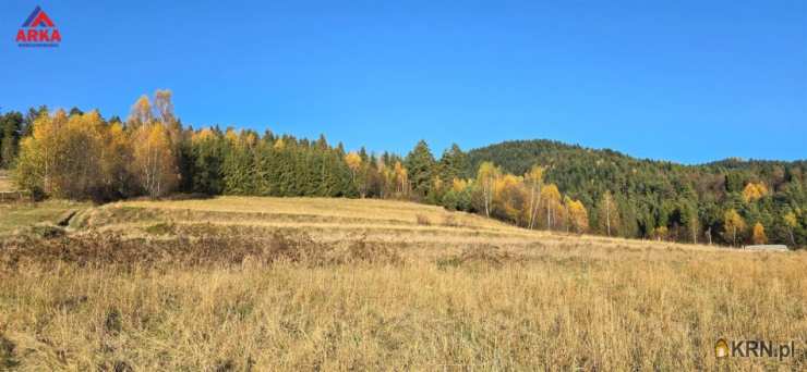 , Wilczyce, ul. , Działki  na sprzedaż