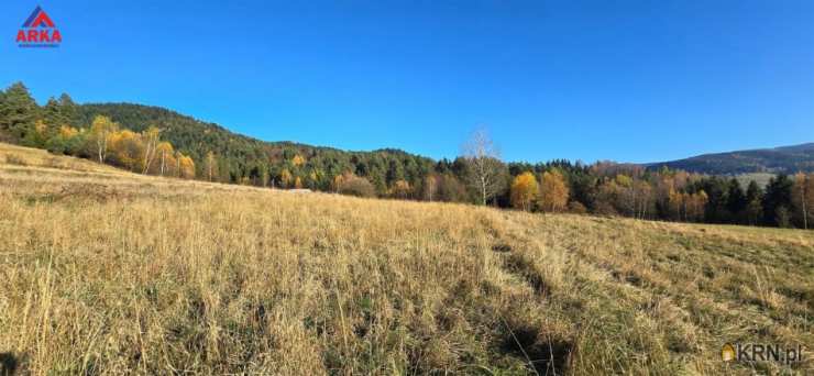 , Działki  na sprzedaż, Wilczyce, ul. 