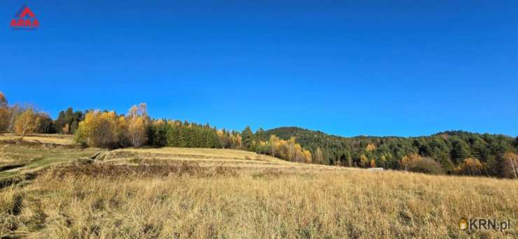 Biuro Nieruchomości ARKA, Działki  na sprzedaż, Wilczyce, ul. 