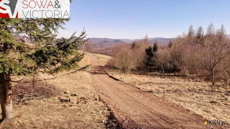 Zagórze Śląskie, ul. , Działki  na sprzedaż, 