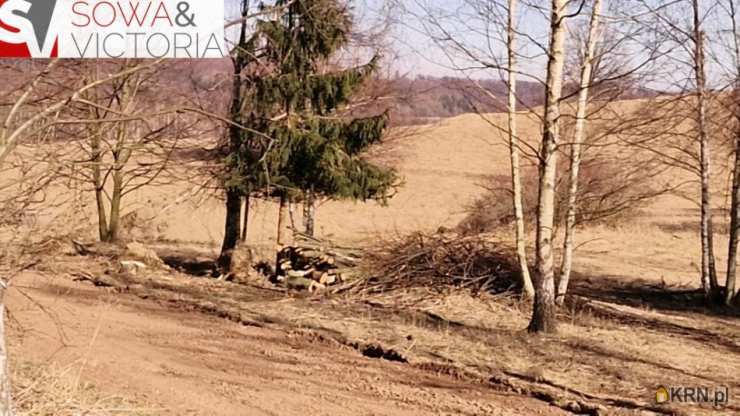 Działki  na sprzedaż, Zagórze Śląskie, ul. , 