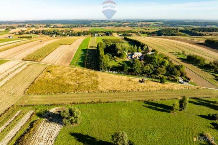 , Działki  na sprzedaż, Skała, ul. 