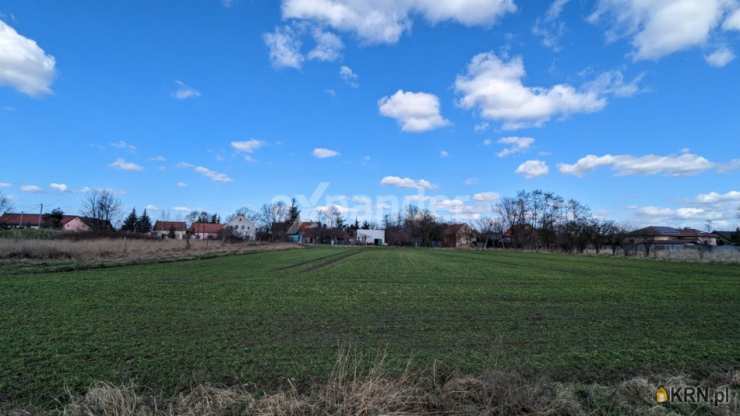 Działki  na sprzedaż, , Spalona, ul. Różana