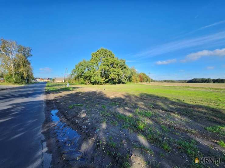 Działki  na sprzedaż, , Zgliniec, ul. 