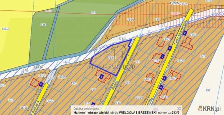 Działki  na sprzedaż, Wielgolas Brzeziński, ul. Azalii, 