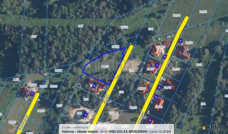 Wielgolas Brzeziński, ul. Azalii, Działki  na sprzedaż, 