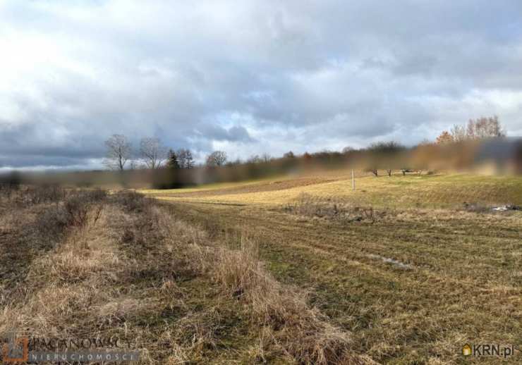 Działki  na sprzedaż, Szczodrkowice, ul. , 