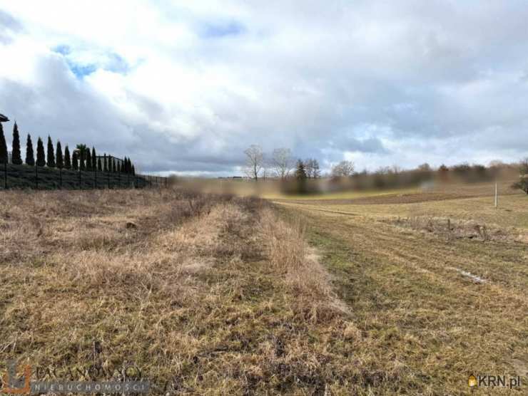 Działki  na sprzedaż, , Szczodrkowice, ul. 