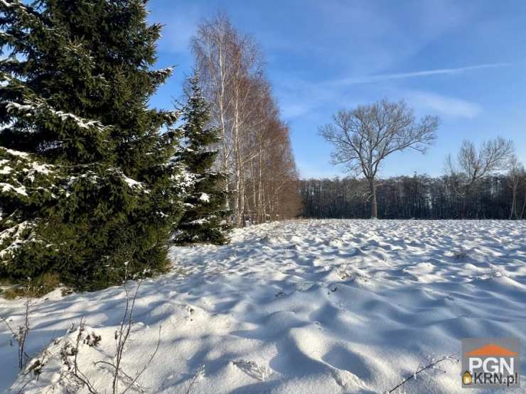 Działki  na sprzedaż, Ładzin, ul. , 