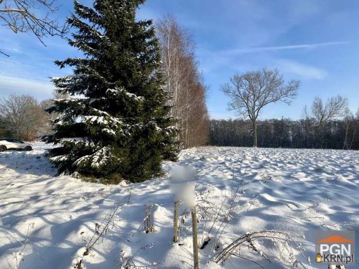 Działki  na sprzedaż, , Ładzin, ul. 