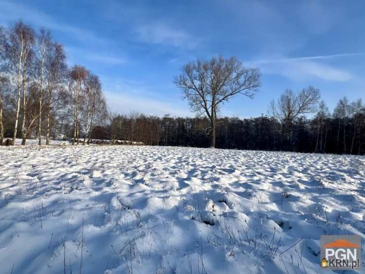 Działki  na sprzedaż, Ładzin, ul. , 