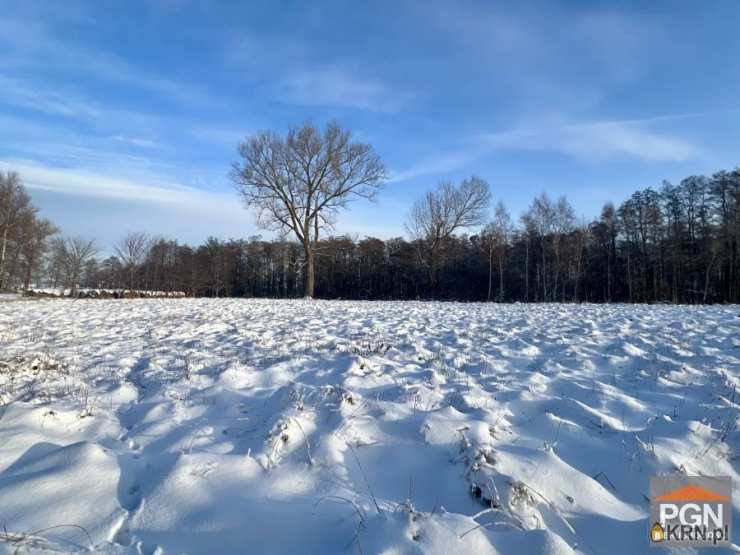 Działki  na sprzedaż, , Ładzin, ul. 