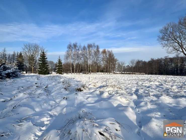 Ładzin, ul. , Działki  na sprzedaż, 