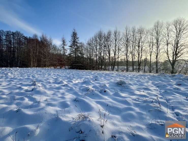 Ładzin, ul. , Działki  na sprzedaż, 