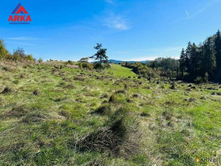 Działki  na sprzedaż, Rabka-Zdrój, ul. , 