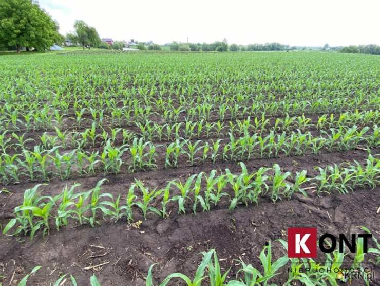 Działki  na sprzedaż, , Kraków, Nowa Huta, ul. Igołomska