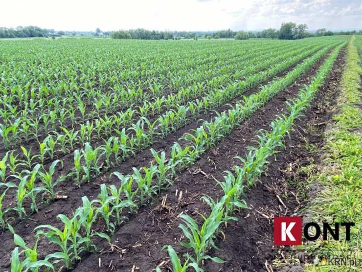 Kraków, Nowa Huta, ul. Igołomska, Działki  na sprzedaż, 