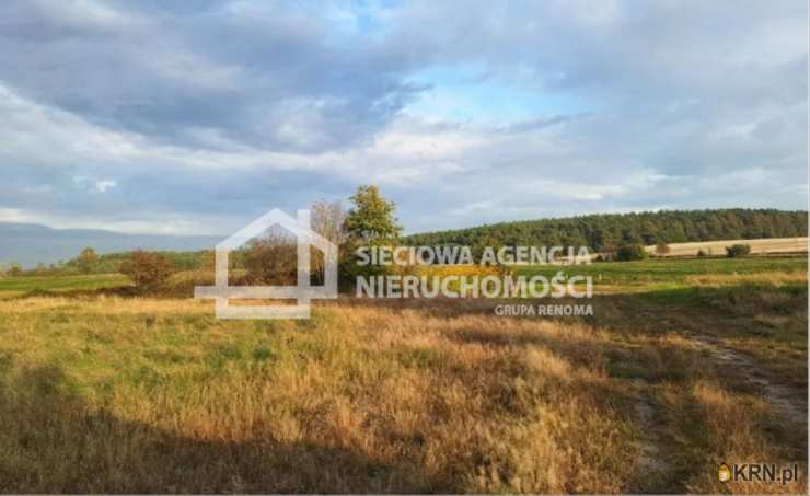 Dębki, ul. , Działki  na sprzedaż, 