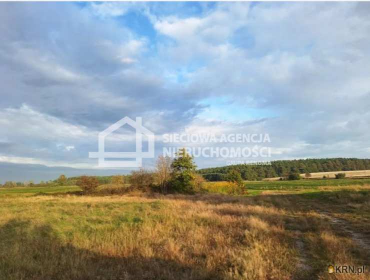 , Działki  na sprzedaż, Dębki, ul. 