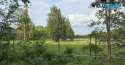 Działki na sprzedaż, Sokolniki-Las