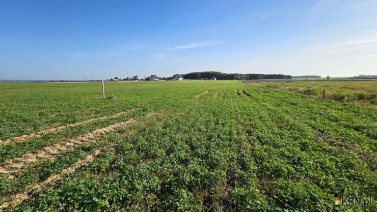 Działki  na sprzedaż, Pasłęk, ul. , 