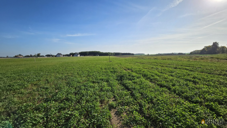 Działki  na sprzedaż, , Pasłęk, ul. 