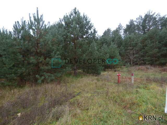 Działki  na sprzedaż, Krzywda, ul. , 