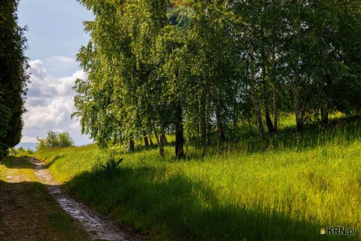 RE/MAX Polska, Działki  na sprzedaż, Lipowa, ul. 