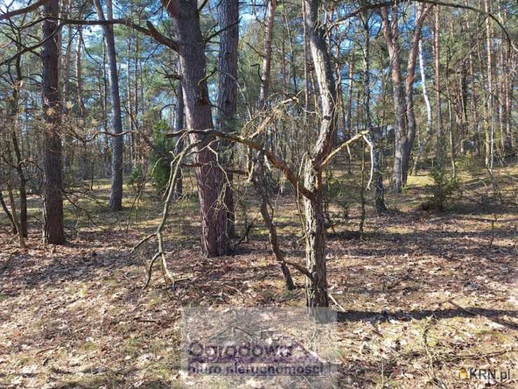 Urle, ul. , , Działki  na sprzedaż