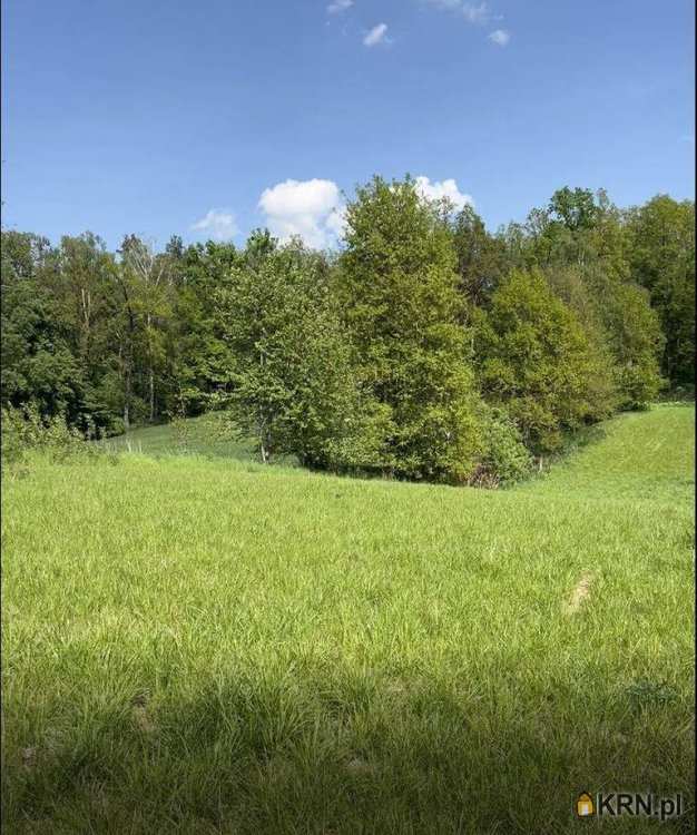 Działki  na sprzedaż, Wierciszów, ul. , 