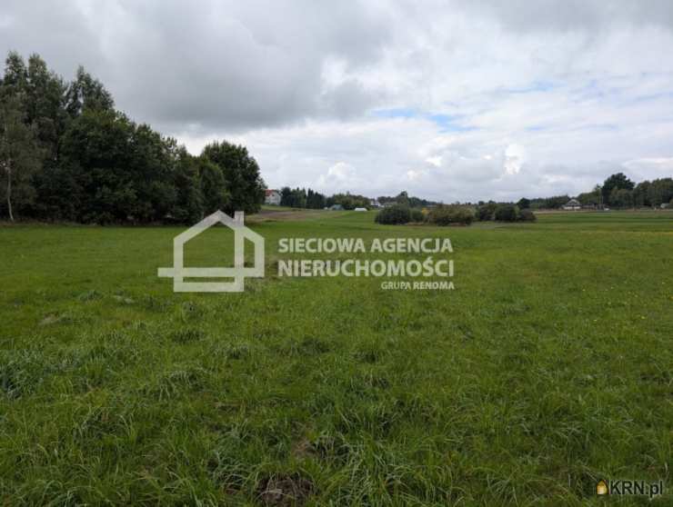 Działki  na sprzedaż, Pomlewo, ul. , 