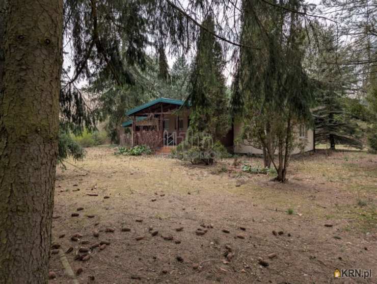 , Działki  na sprzedaż, Łosie, ul. Dzięcioła